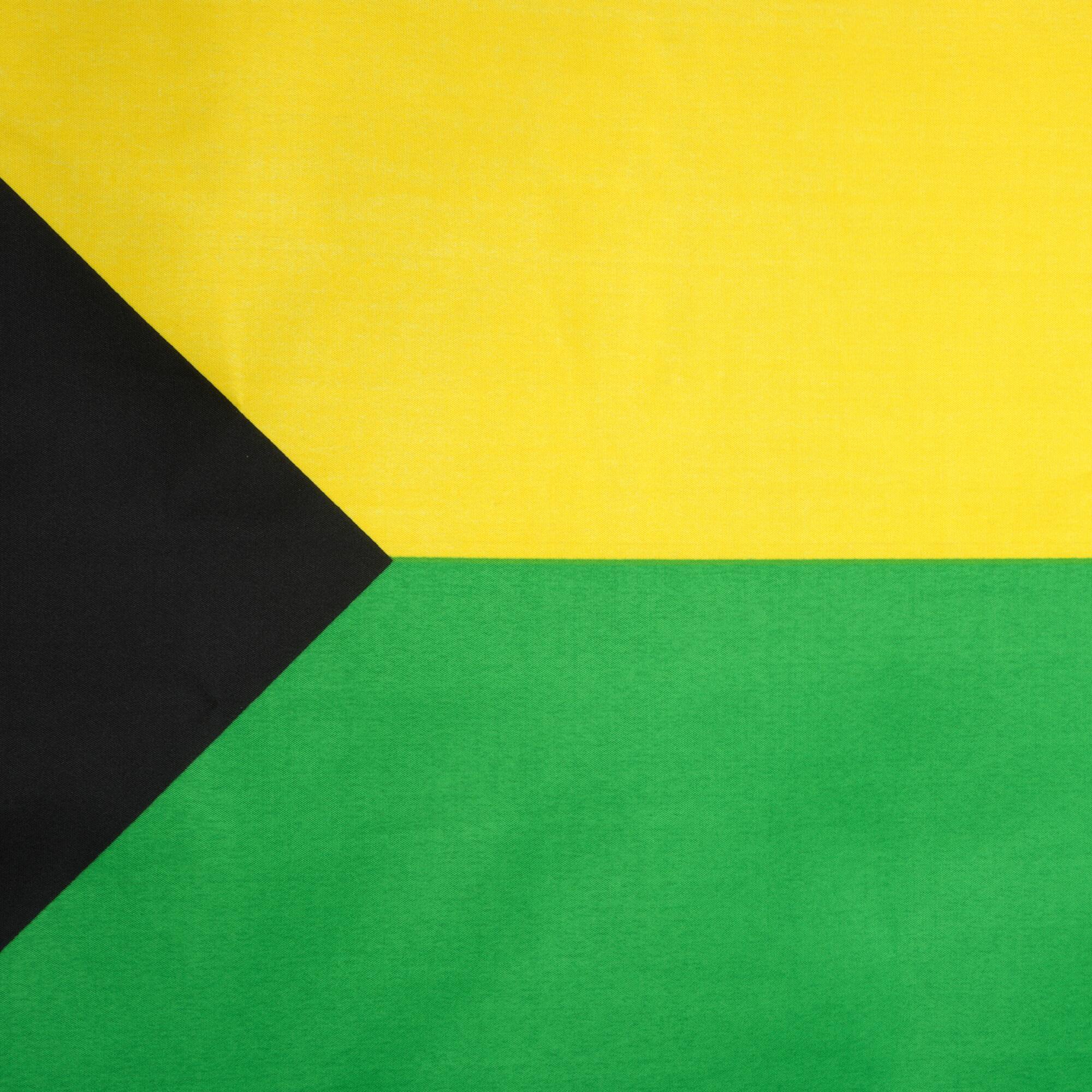 Large Pride Progress Flag by Celebrate It™